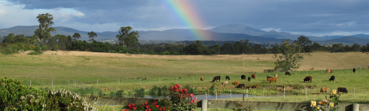 Rainbow near Ben Cruachan