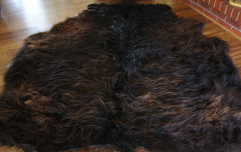 Black Highland Hide