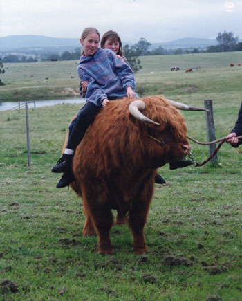 Two young girls on the back of a Highland Bull