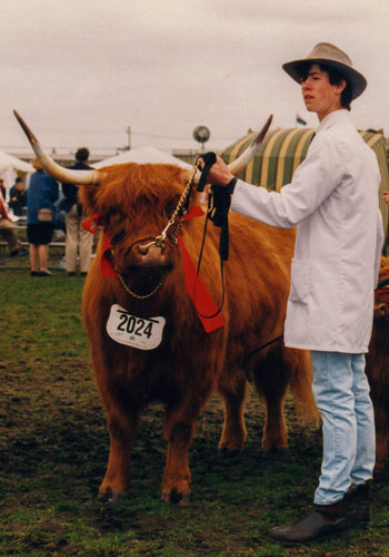 1992 First major cattle show.  Highland Cow with teenage boy leading.