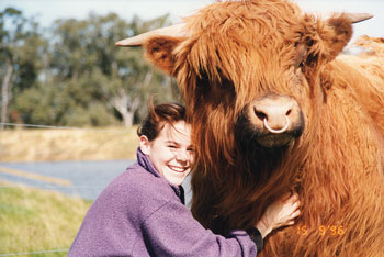 Young girl and young Highland Bull having a cuddle