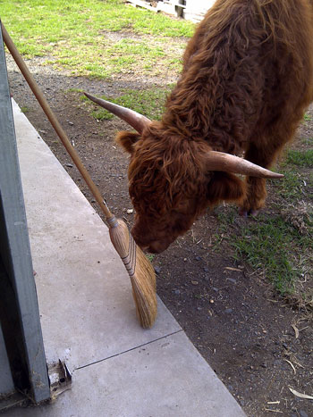 this brush has a nice fringe too